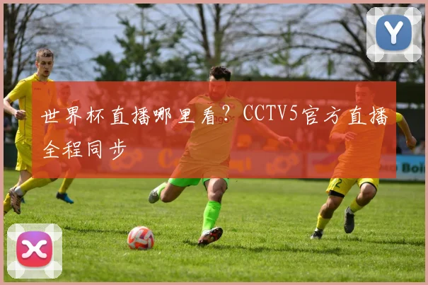 世界杯直播哪里看？CCTV5官方直播全程同步