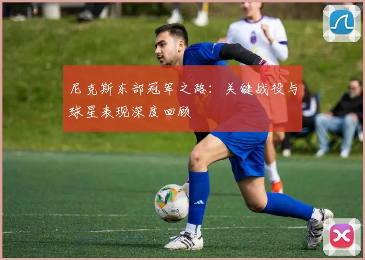 尼克斯东部冠军之路：关键战役与球星表现深度回顾